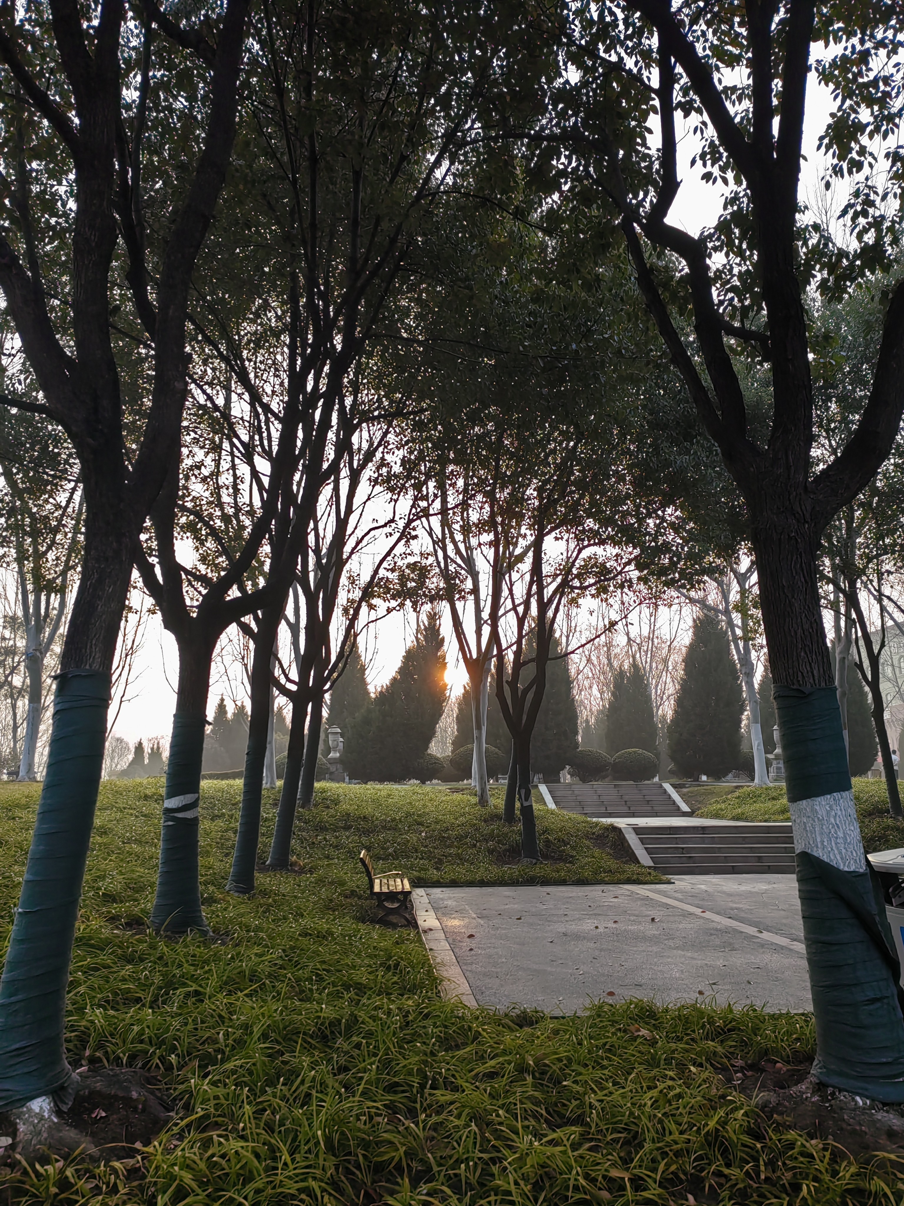 所谓迷茫就是懒-迷茫时别急着找方向：走下去，路就会慢慢呈现