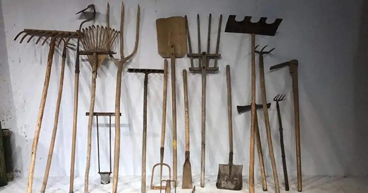 农村赚钱路子_农村创业项目_农村创业好项目办小厂