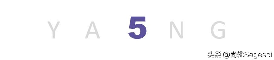 论文下载方式_内网无法访问时如何下载论文_cncnki是假网站吗