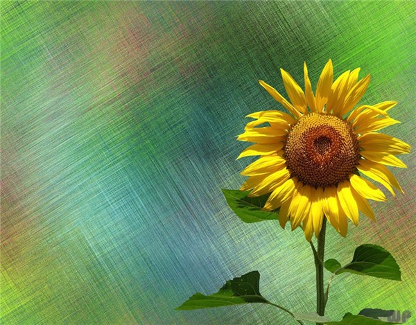 人生感悟_让人开心的心灵鸡汤_人生哲理