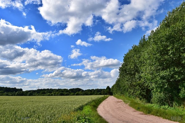人生哲理_人生感悟_让人开心的心灵鸡汤